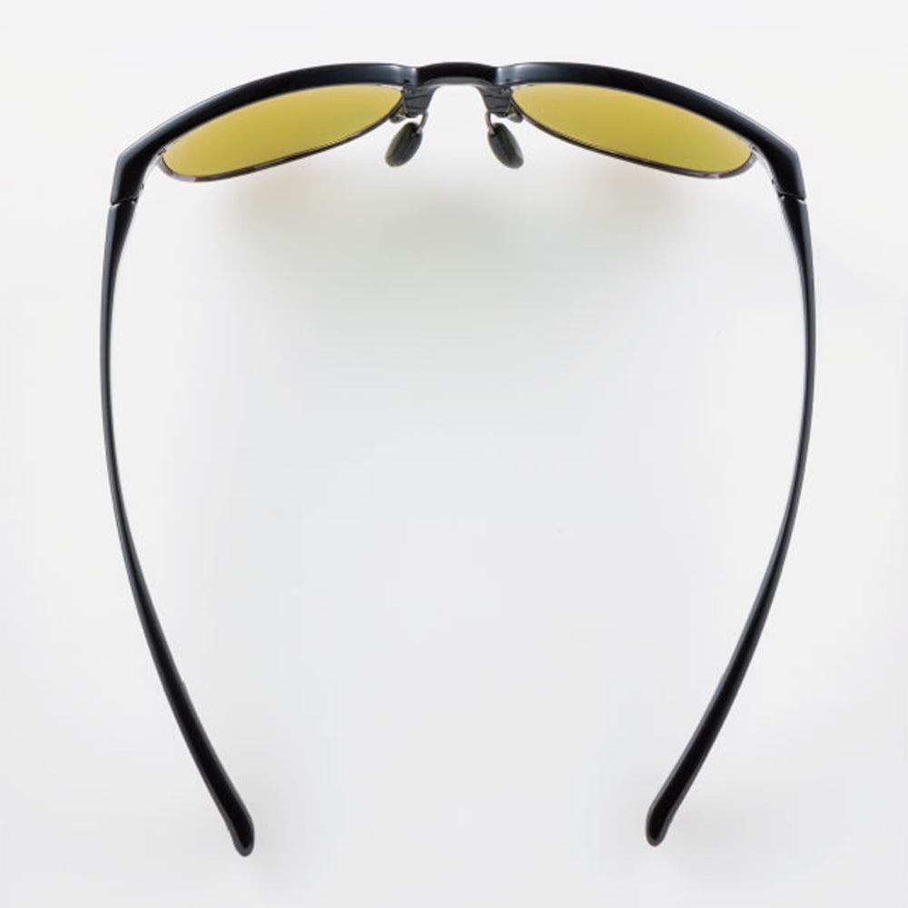 スワンズ イーアール2 オーバルタイプ サングラス SWANS ER2 ER2-0168 BK