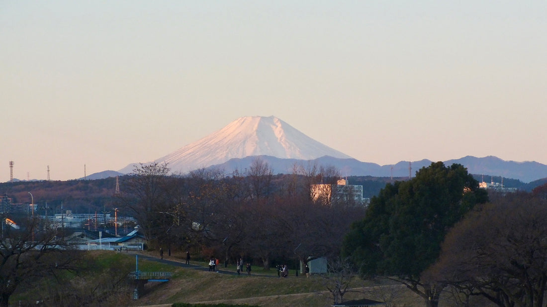 2025 新年のご挨拶🌅