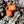 Cargar imagen en el visor de la galería, BUSHMEN Travel Gear ULTRALIGHT Expanders Tarps &amp; Quilts ブッシュメントラベルギア ウルトラライト エクステンダー タープアンドキルト

