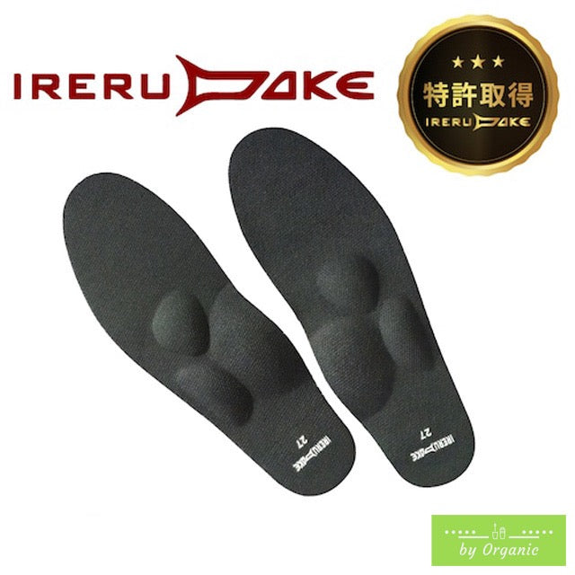 IRERUDAKE インソール 二足セット｜特許技術RiCAMで姿勢矯正＆足の痛み