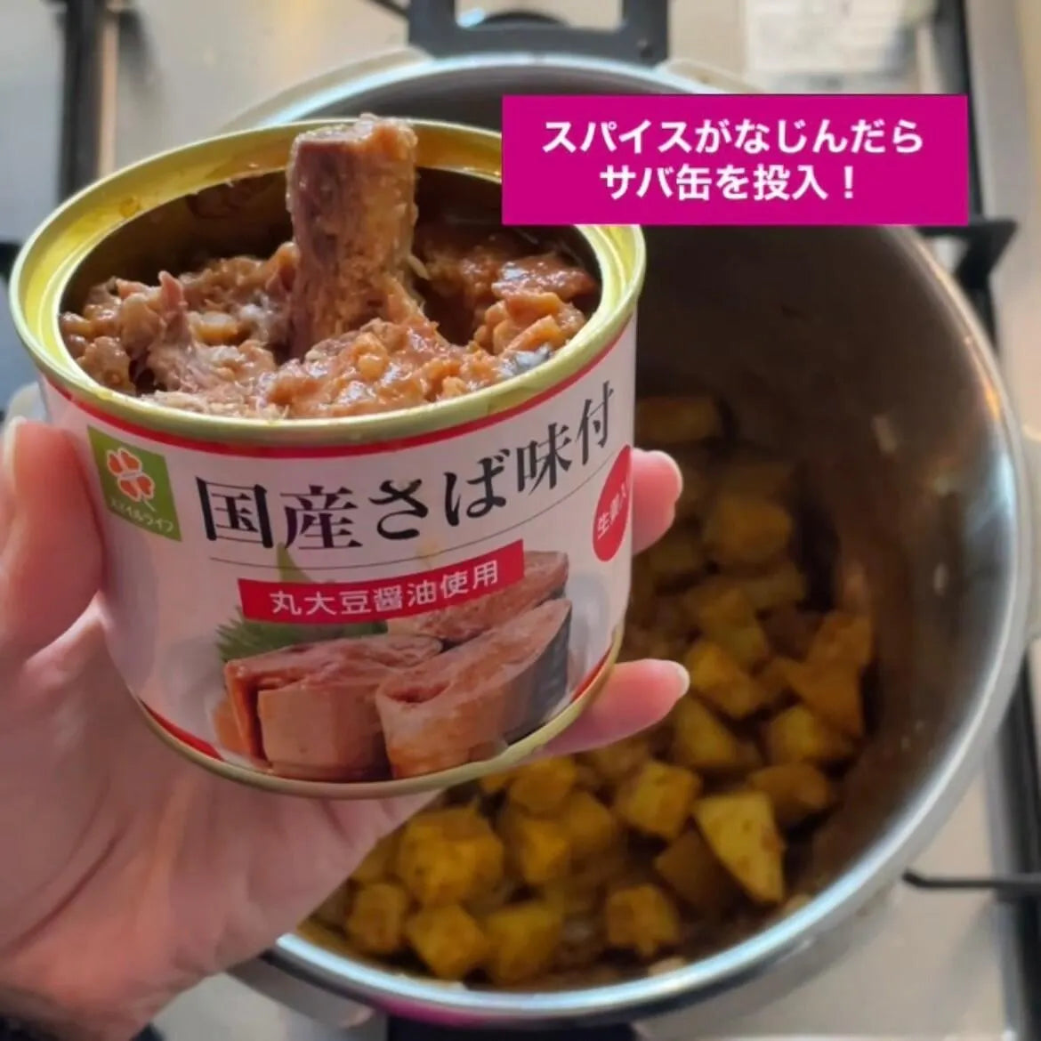 FATCAMP kitchen ファットキャンプキッチン スパイスカレー サバ缶 業務用大袋 通常商品25袋分