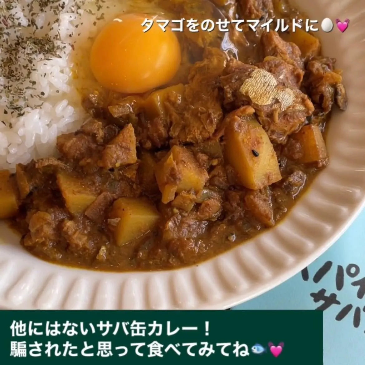 FATCAMP kitchen ファットキャンプキッチン スパイスカレー サバ缶 業務用大袋 通常商品25袋分