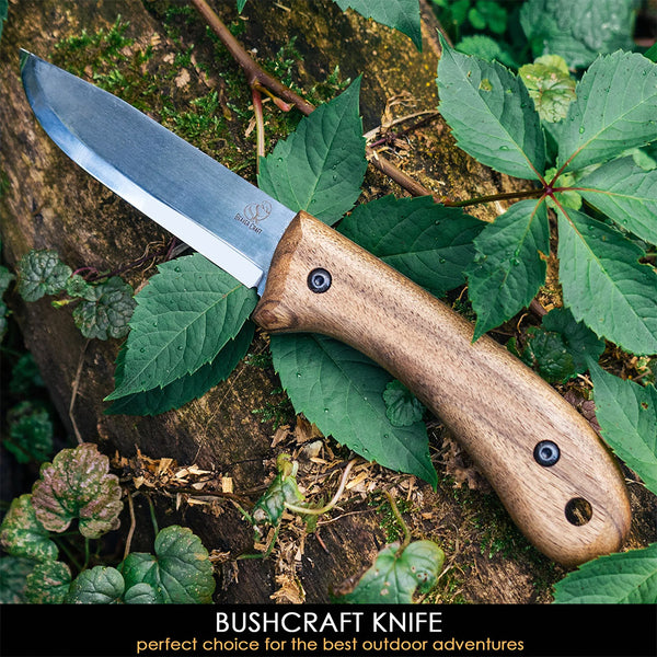 ビーバークラフト カーボンスチール ブッシュクラフトナイフ レザーシース付き ウォールナットハンドル Beaver Craft BSH2 Carbon Steel Bushcraft Knife