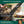 Load image into Gallery viewer, ビーバークラフト カーボンスチール ブッシュクラフトナイフ レザーシース付き ウォールナットハンドル Beaver Craft BSH4 Blued-Blade Bushcraft Knife
