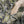 Cargar imagen en el visor de la galería, ブレーザー エアフローシャツ カモ柄 競技射撃 Blaser Airflow Shirt HunTec CAMO
