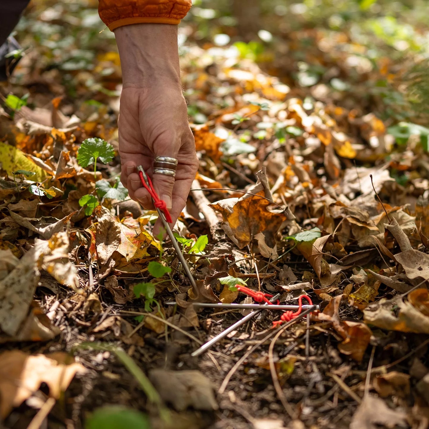 Dutchware Gear ダッチウェア Titanium Nail Peg チタン ネイルペグ 6本セット 高強度 ハードグラウンド対応 ULペグ VAR013