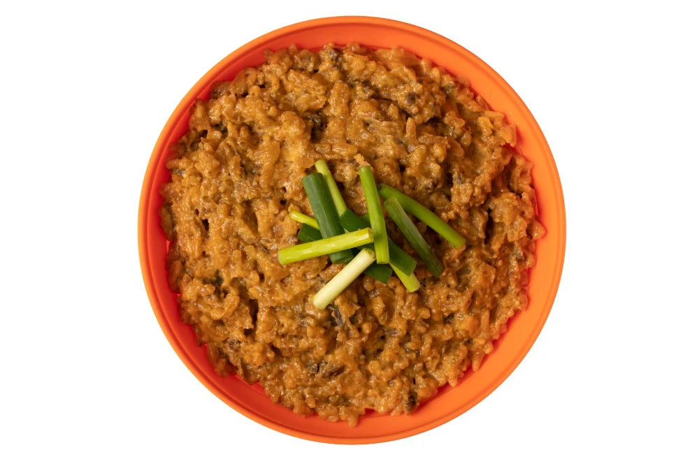 Expedition Foods（エクスペディションフーズ）｜ビーフストロガノフ（1000kcal）｜Beef Stroganoff with Rice｜防災・登山向け高カロリーミール｜SKU:004-5003-1000