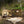 Charger l&#39;image dans la galerie, ビッグベア キャンプ用ウィンドスクリーン キャンバス 風防 耐火 タープ CM-02 Big Bear Camping Windscreen
