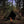Charger l&#39;image dans la galerie, ビッグベア ブッシュクラフトポーランドテント ポーランド軍幕ポンチョテント 多機能ポンチョ Pyramid Tent-01 Big Bear Bushcraft Poland Tent
