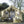 画像をギャラリービューアにロードします Big Bear Cotton Inflatable Tent ビッグベア コットンインフレータブルテント 大型ロッジ型テント エアーテント ビンテージテント Tent-B1
