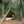 Load image into Gallery viewer, ビッグベア ブッシュクラフトテント TCコットン ポーランド軍幕ポンチョテント ピラミッドテント tent-C1 Big Bear Bushcraft Tent
