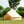 画像をギャラリービューアにロードします Big Bear Canvas Bell Tent TENT01 ビッグベア キャンバスベルテント ティピーテント
