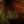 Cargar imagen en el visor de la galería, ブッシュメントラベルギア ブッシュベッド ハンモック オリーブ BUSHMEN Travel Gear BUSHBED Hammock olive
