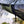 Charger l&#39;image dans la galerie, BUSHMEN Travel Gear Hammock Mosquito net ブッシュメントラベルギア ジャングル デザート ハンモック モスキートネット 蚊帳
