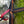 Load image into Gallery viewer, BUSHMEN Travel Gear EASY Tree huggers ブッシュメントラベルギア イージーツリーハンガー
