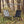 Load image into Gallery viewer, KZM ニノミニリラックスチェア 折りたたみチェア アウトドアチェア キャンプ椅子 メッシュポケット 軽量 カズミ アウトドア KZM OUTDOOR NINO MINI RELAX CHAIR
