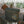 Charger l&#39;image dans la galerie, KZM フィールドクッキングボックスL ツールボックス 工具バッグ 工具箱 道具入れ キャンプバッグ ハードカバー カトラリーケース カズミ アウトドア KZM OUTDOOR
