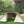 Load image into Gallery viewer, プレイドゥ 2ルームロッジ型テント 5-6人用 TCテント コットンキャンバス ビンテージテント 家型テント 大型テント PlayDo 2 Room Cotton Canvas Tent
