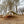 Cargar imagen en el visor de la galería, プレイドゥ インフレータブルキャンプテント エアテント 2人用 TCテント ロッジ型テント 家型テント PlayDo Inflatable Camping Family Air Tent
