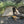 Cargar imagen en el visor de la galería, プレイドゥ ロッジ型テント 5-6人用 TCテント ビンテージテント 家型テント 大型テント ファミリーテント PlayDo Family Camping Tent
