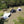Load image into Gallery viewer, YGY ホットテント ストーブジャック付き 4人用 ティピーテント ブラックPUコーティング5000mm 150Dオックスフォード ピラミッドテント
