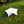Cargar imagen en el visor de la galería, YGY テントタープ ヘキサタープ 150Dオックスフォード生地 ブラックPUコーティング 5000mm W/R UPF50 6-8人用 440-450cm
