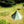 Load image into Gallery viewer, YGY TCコットンピラミッドテント ホットティピーテント ストーブジャックウィンドウ付き 防風スノースカート 4シーズンティピ
