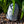 Load image into Gallery viewer, Hummingbird Hammocks ハミングバード シングルプラスハンモック 1.5人用 軽量 - おしゃれな洋服雑貨 おもしろ便利グッズ のお店 ディントコヨーテ 通販
