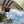 Load image into Gallery viewer, Hummingbird Hammocks ハミングバード Tree Straps ツリーストラップ キャンプ 寝具 ハンモック アクセサリー
