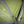 Cargar imagen en el visor de la galería, フリスポート エクストリーム 8 ティピーテント 8人用 ティピー型ワンポールテント 焚き火テント アウトドア キャンプ frisport

