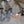 Charger l&#39;image dans la galerie, エンバーリット メルクウェアーズ 手作り 火打ち金 ストライク ア ライト 火おこし 着火道具 サバイバル アウトドア キャンプ Emberlit MerkWares Strike-A-Light

