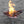 Charger l&#39;image dans la galerie, ステンレスメッシュ 折りたたみ焚き火台 ファイヤースタンド Huehuecoyotl Outdoor Works Stainless Mesh Fire Stand
