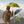 画像をギャラリービューアにロードします シックスムーンデザインズ レインウォーカーSULアンブレラ 156g SIX MOON DESIGNS Rain Walker SUL Umbrella
