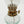 Charger l&#39;image dans la galerie, コヨーテキャンプギア オイルランタン オイルランプ ライト 照明 キャンドル COYOTE CAMP GEAR OIL LAMP
