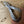 Cargar imagen en el visor de la galería, コヨーテキャンプギア マルチツール 工具 折りたたみ サバイバルツール 多機能ナイフ ペンチ ドライバー COYOTE CAMP GEAR MULTI TOOL
