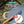 Cargar imagen en el visor de la galería, KZM コーティンググリドル 600 キャンプ 料理 鉄板 調理 道具 フライパン プレート グリル カズミ アウトドア KZM OUTDOOR IGNIS COATING GRIDDLE 600
