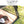 Cargar imagen en el visor de la galería, KZM パノラマオートシェードテント 日よけ 1～2人用 ワンタッチテント フルクローズ 紫外線対策 カズミ アウトドア KZM OUTDOOR PANORAMA AUTO SHADE TENT
