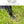 Cargar imagen en el visor de la galería, KZM パノラマオートシェードテント 日よけ 1～2人用 ワンタッチテント フルクローズ 紫外線対策 カズミ アウトドア KZM OUTDOOR PANORAMA AUTO SHADE TENT
