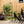 Load image into Gallery viewer, KZM タワー ランタンスタンド ランタンハンガー ランタンアクセサリー カズミ アウトドア KZM OUTDOOR TOWER LANTERN STAND
