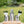 画像をギャラリービューアにロードします KZM プレミアム カトラリーセット 食器セット 4人用 箸 フォーク スプーン 食器スタンド カズミ アウトドア KZM OUTDOOR PREMIUM CUTLERLY SET

