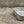 Cargar imagen en el visor de la galería, コヨーテキャンプギア チタンランチボックス 折りたたみハンドル 蓋付き 調理器具 COYOTE CAMP GEAR TITANIUM LUNCH BOX PAN WITH LID FOLDING HANDLE
