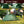 Cargar imagen en el visor de la galería, ワンタッチテント テント ワンタッチ ドーム型 大型 5人用 6面メッシュパネル フルクローズのコピー
